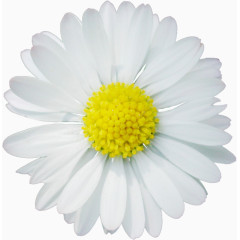 田园风风格田园风素材