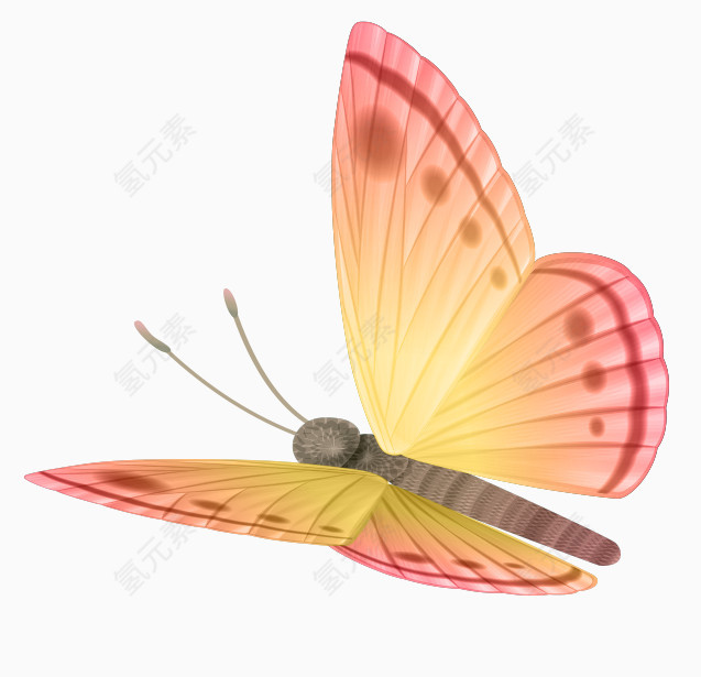 手绘飞舞的蝴蝶