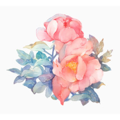 清新唯美水墨水彩牡丹花