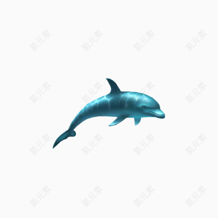 海豚