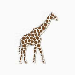 剪纸碎片拼图长颈鹿