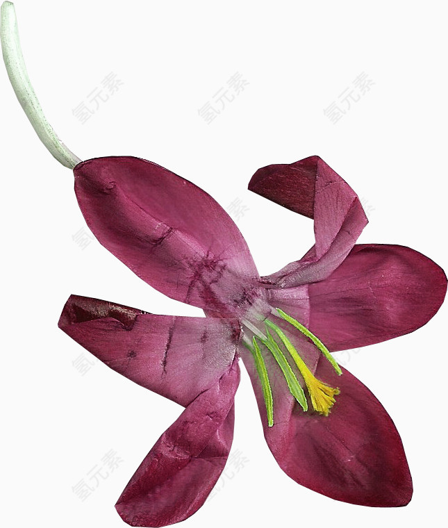 花束图片花朵素材