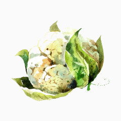 卡通精美绿色植物