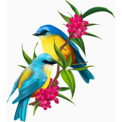 卡通手绘中国风花鸟