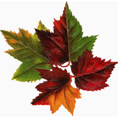 装饰卡通田园风风格