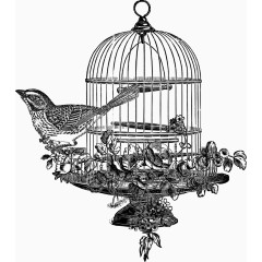 黑色漂亮鸟笼