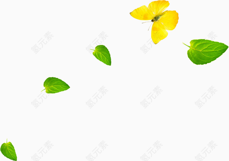 绿色清新漂浮树叶黄色树叶造型蝴蝶