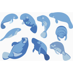 矢量图几只海豹
