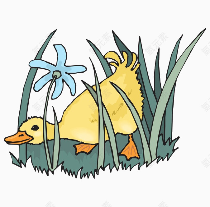 草丛中的可爱小鸭子