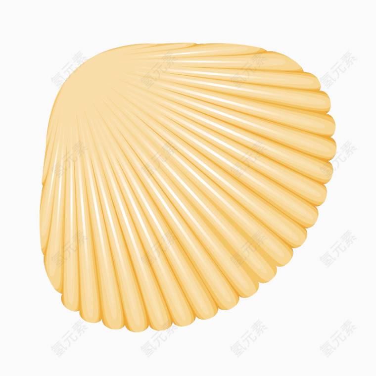 卡通海洋装饰元素贝壳