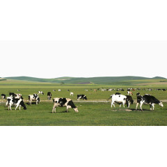 呼伦贝尔草原景点