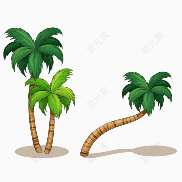 椰子树植物