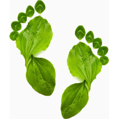 欧美风格可爱相框