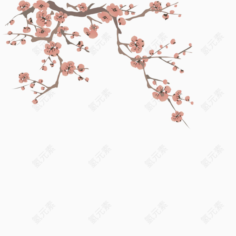 手绘梅花腊梅