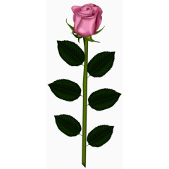 饰品古风装饰素描