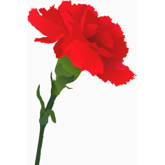 水墨水彩油彩的树叶植物花朵花束