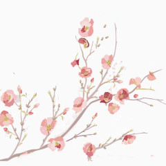 手绘粉色花