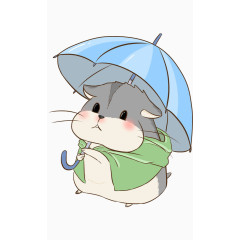 仰望的松鼠