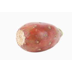 仙人掌果免抠素材