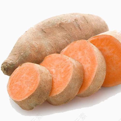 食物红薯