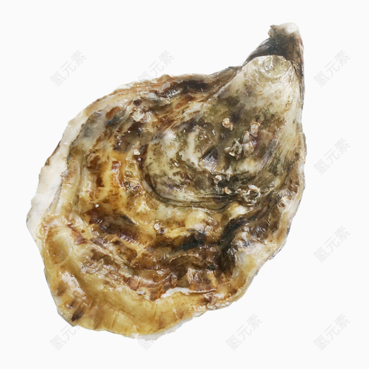 生蚝鲜活