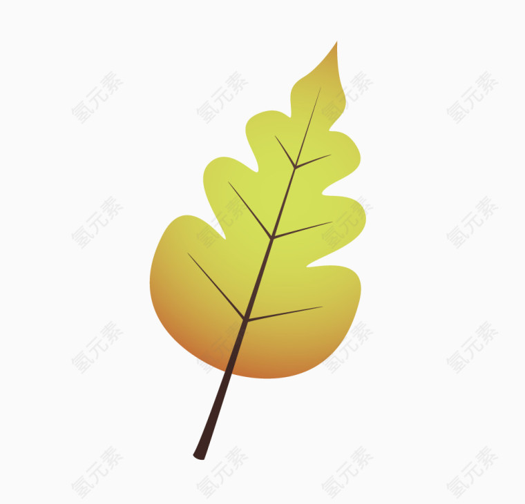 秋天叶片