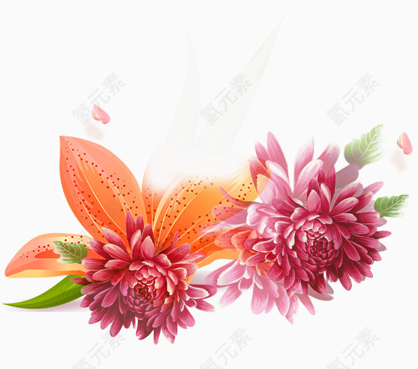 花卉