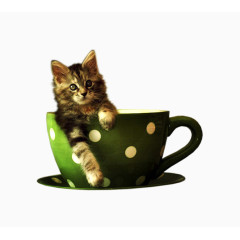 杯子里的动物小猫