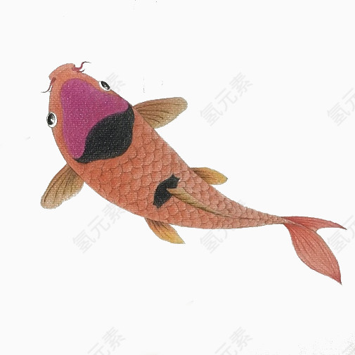 一条游泳的鱼儿