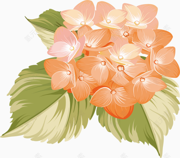 清新唯美水彩黄色花朵