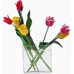 装饰图标手绘装饰