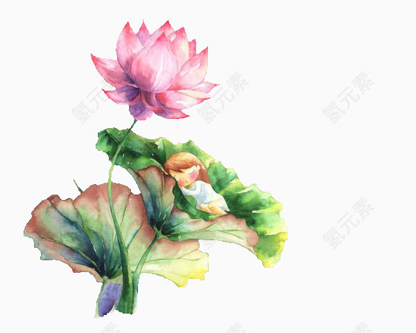 睡在荷花里的小姑娘