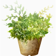 卡通盆栽植物治愈系
