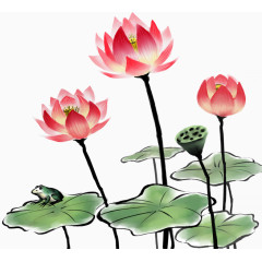 含苞待放荷花莲子青蛙荷叶卡通手绘装饰元素
