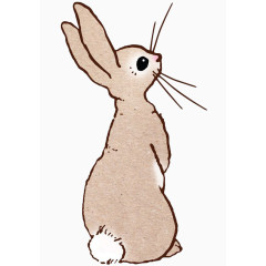 长胡须的兔子