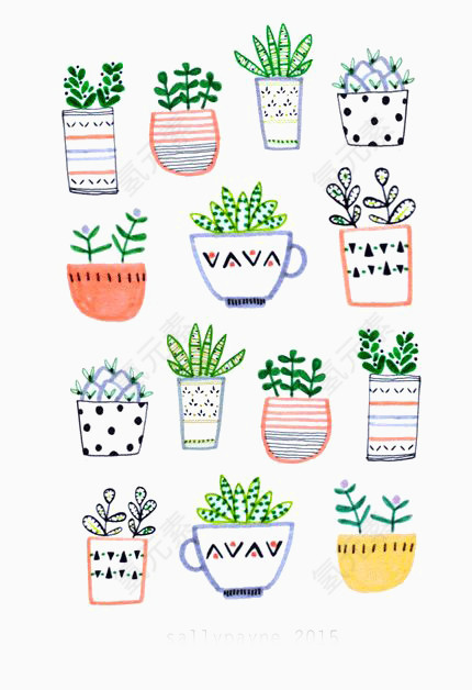 卡通多肉植物