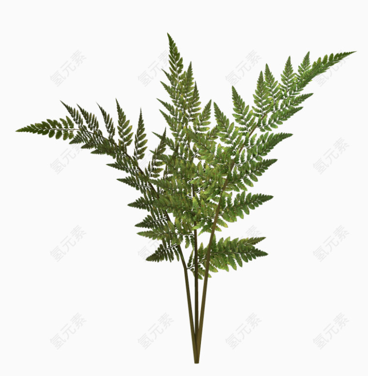 花卉图片素材花草矢量图素材