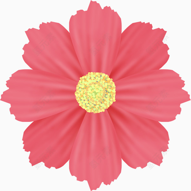 红色手绘花朵