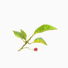 小清新简约手绘唯美东京樱花