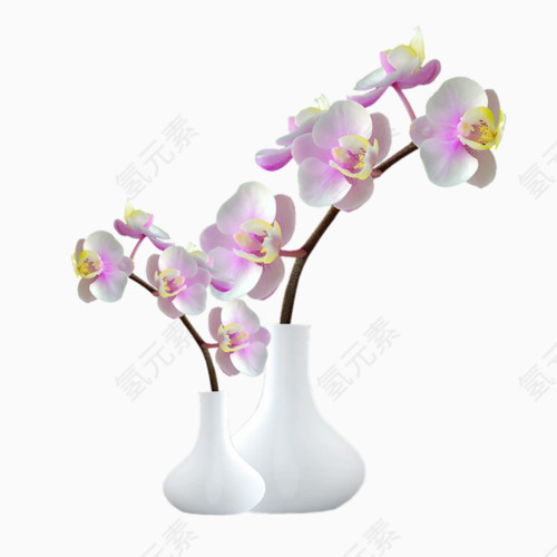 装饰图案花卉ps素材