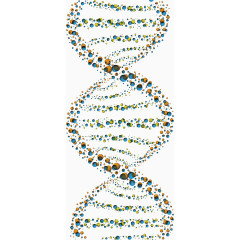 DNA结构矢量图