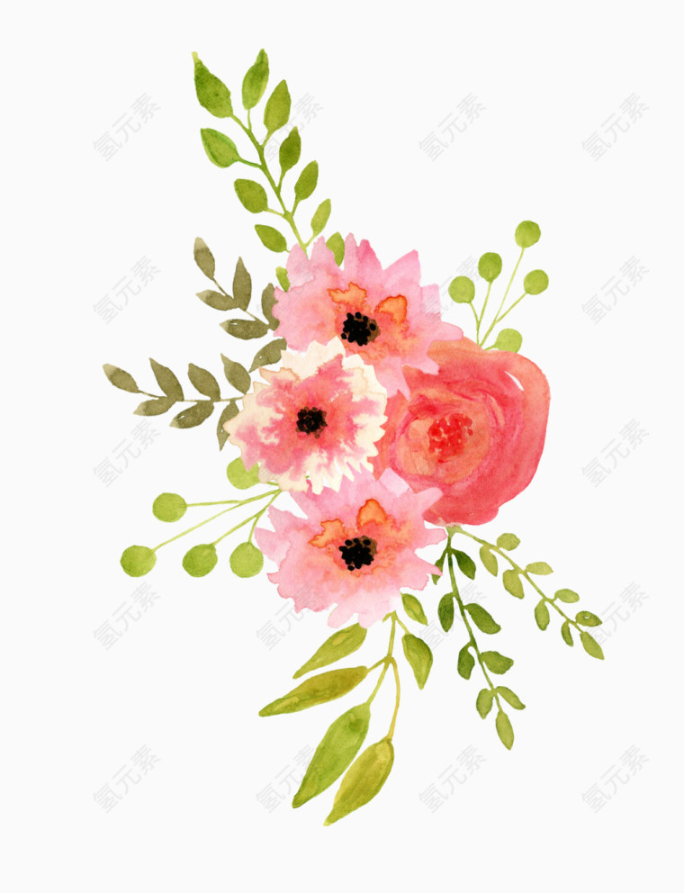 植物水彩画