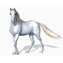 马图片素材马素描 奔跑的骏马