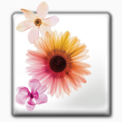 adobe人工智能土坯CS .大