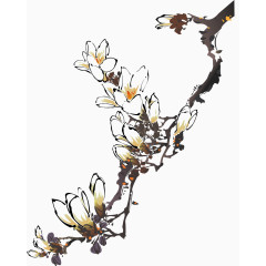 中国水墨素材白玉兰