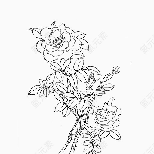 手绘黑色线条菊花图案