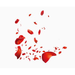 红色唯美创意花瓣飘落