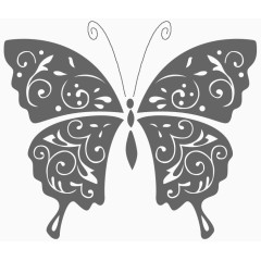 灰色蝴蝶花纹 