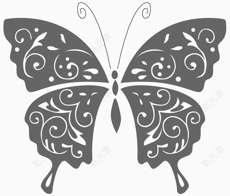 灰色蝴蝶花纹 