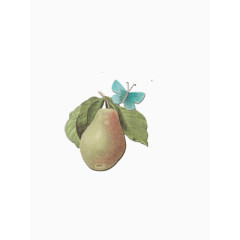 谷歌日历Squareplex